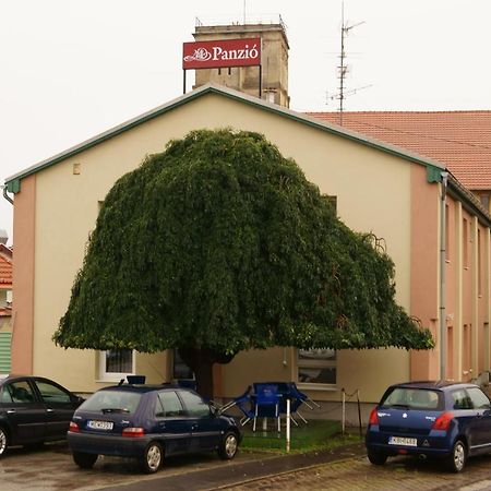 Malomudvar Etterem Cukraszda Panzio Es Rendezvenyhaz Gyongyos Exterior photo