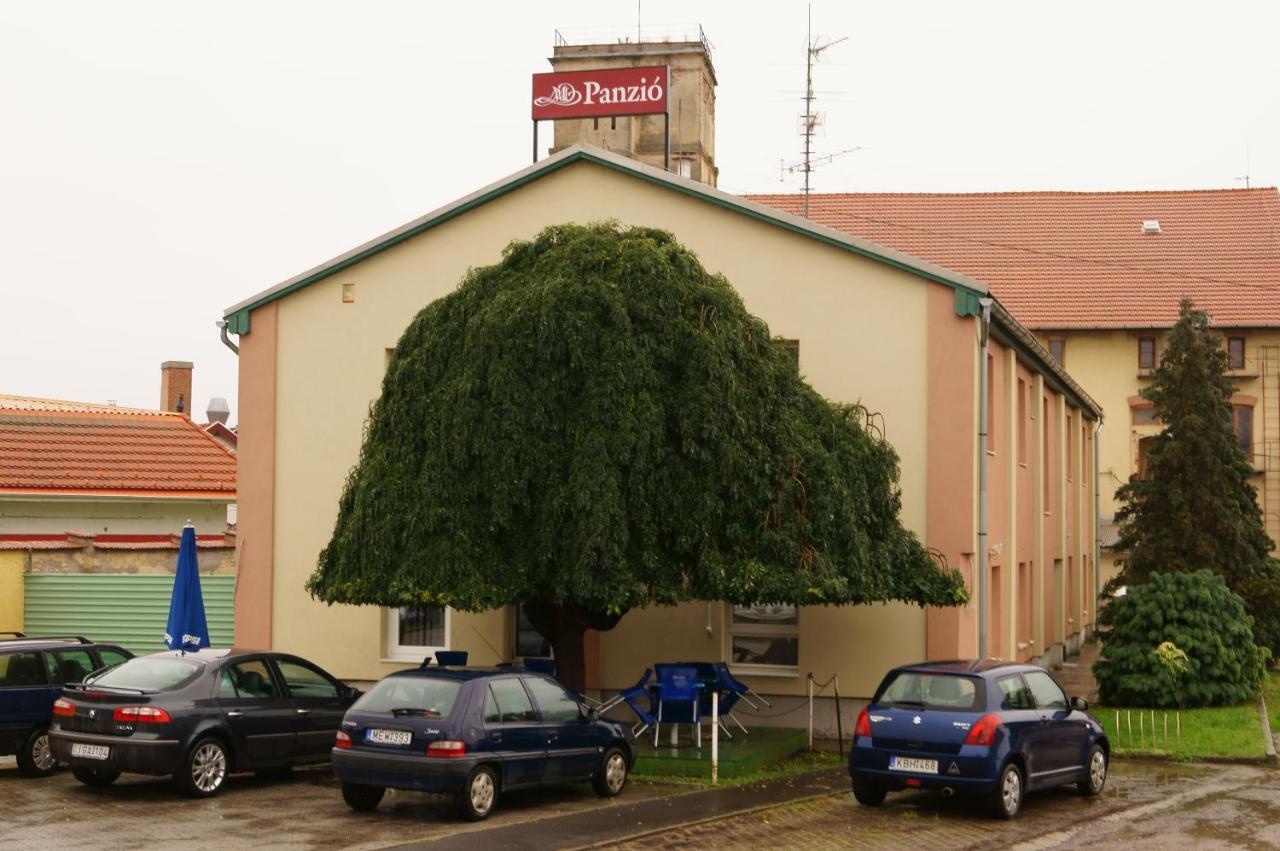 Malomudvar Etterem Cukraszda Panzio Es Rendezvenyhaz Gyongyos Exterior photo